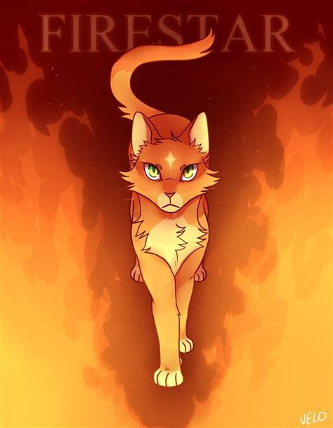 Firestar By Velocira Warrior Cats Fan Art Warrior Cats Art Warrior Cats