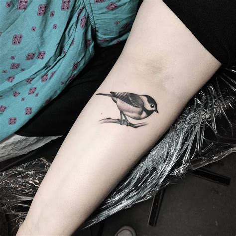 chickadee  kate decosmo  euphoria tattoos  tallahassee chickadee tattoo birds tattoo