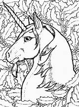 Coloring Unicorn Pages Realistic Popular sketch template