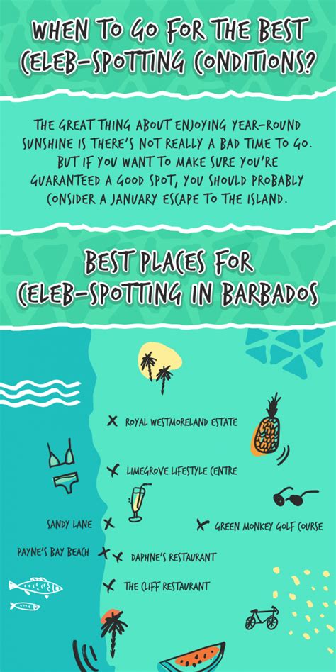 Infographic Paparazzi At The Ready Heres Our Guide To Celebrity