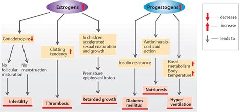 differentiation puberty and male and female reproduction physiology