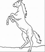 Horse Coloring Pages Horses Drawing Rearing Kids Morgan Printable Easy Clydesdale Getcolorings Getdrawings Color sketch template