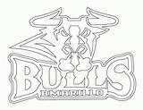 Printable Bulls Coloringhome sketch template