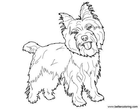 yorkie coloring pages sketch  printable coloring pages