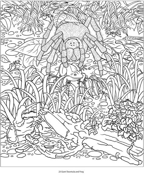 animal camouflage coloring pages printable coloring  kids