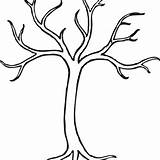 Leaves Tree Without Coloring Template Trunk Printable Pages Clipart Trees Drawing Clip Color Kids Templates Clipartbest Outline Simple Sketch Drawings sketch template