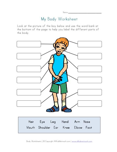body parts  printables worksheets  riset