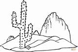 Cactus Coloring Pages Saguaro Silhouettes sketch template