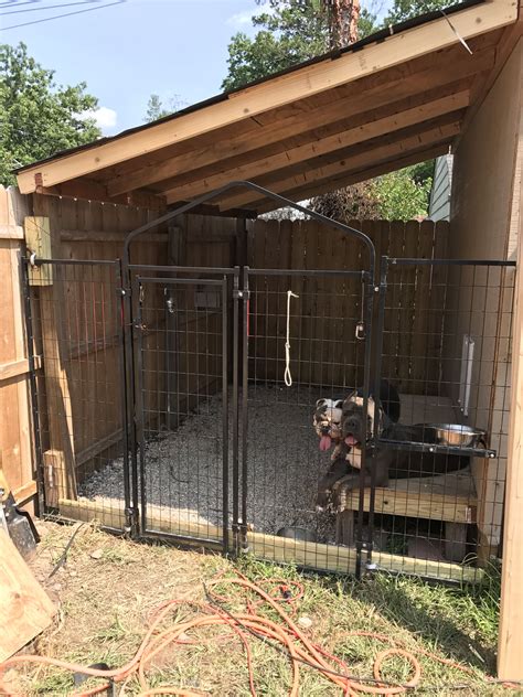 built  dog kennel   side   shed outdoor dog house dog kennel outdoor dog backyard