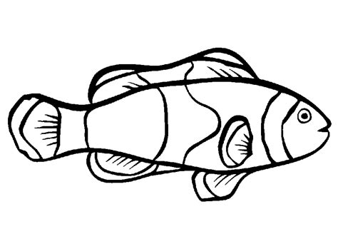 clownfish coloring page coloring home