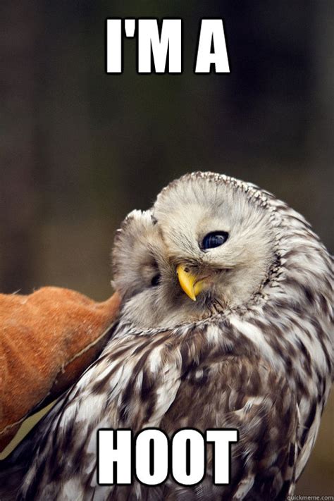 i m a hoot ridiculously photogenic owl quickmeme