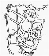 Colorir Macaco Desenhos Macacos Singe Rigolo Inprime Floresta Impressionnant Singes Jouent Bebes às Marcadores Imprimer sketch template