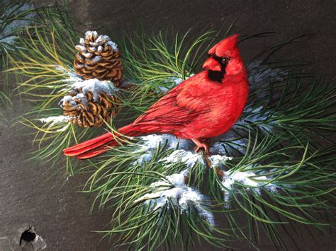 male cardinal painting  slate  sherrylpaintz bird paintings  canvas birds painting