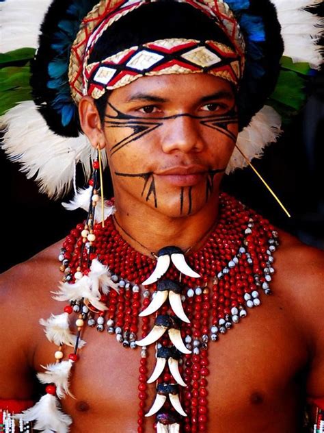 indigenas brasileiros povos indigenas brasileiros indios brasileiros indios pataxos