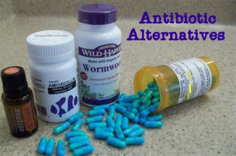 Antibiotic Alternatives — Info You Should Know