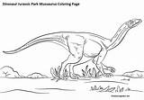 Coloring Jurassic Mussaurus Disegni Dinosaur Velociraptor Ausdrucken Pterosaurs Rhamphorhynchus Dinosaurs Dinosaurier Everfreecoloring Dinosauri Spinosaurus Malvorlagen Ausmalbild sketch template