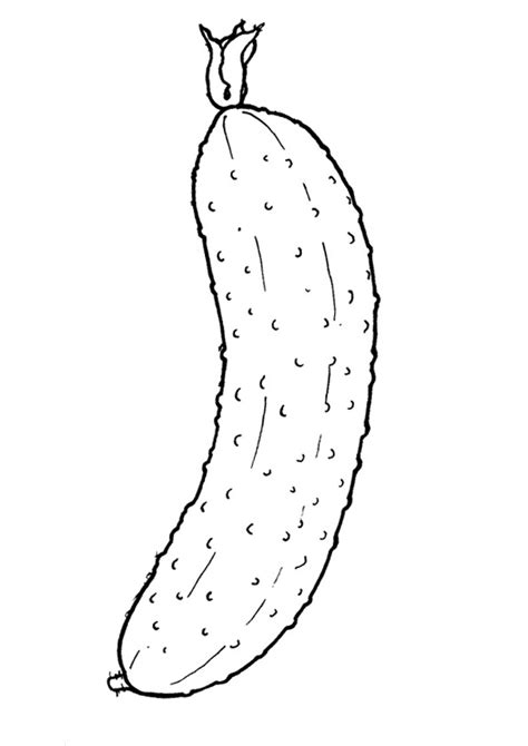 coloring pages easy cucumber coloring pages  kids
