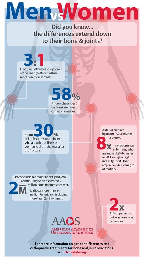 sex and musculoskeletal health differences between males and females