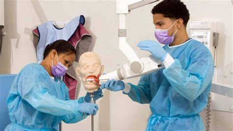 dental assistant dentist assistant training assistant information