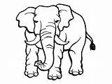 Coloring Elephants Pages Kids Simple Print Animals sketch template