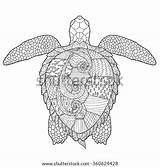 Zentangle Antistress Stylized Aquatic Makhenda sketch template