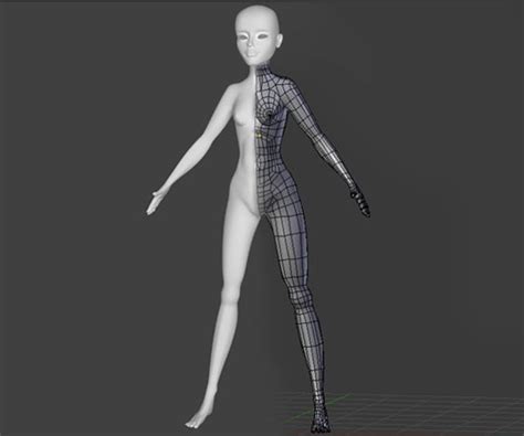 female character modeling in blender part 4 female reference