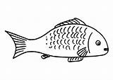 Pesce Fish Stampare sketch template