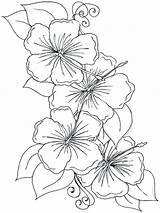 Coloring Flower Hibiscus Pages Violet Drawing Orchid Printable Rose Flowers Line Color Petal Drawings Kids Print Shape Getcolorings Fleur Comments sketch template