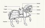 Medieval Horse Drawings Horses Armor Century 15th Drawing Armour Weapons War Middle Ages Buscar Con Google Cheval Military Knights Visit sketch template