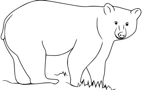 happy black bear coloring page  printable coloring pages  kids