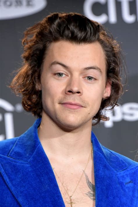 sexy harry styles pictures popsugar celebrity