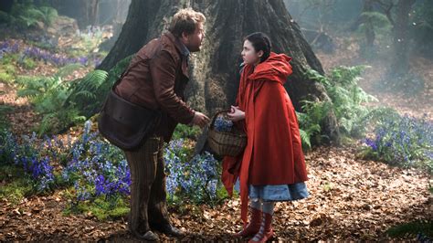 ‘into The Woods ’ Disney’s Take On The Sondheim Lapine Classic The