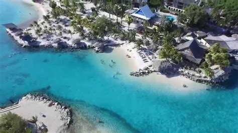 lions dive beach resort curacao youtube