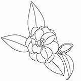 Camellia Momjunction Adults sketch template