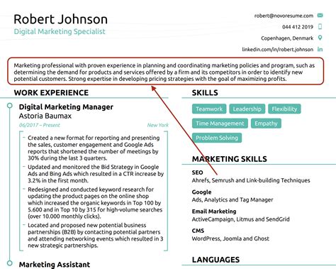 resume summary examples   guide
