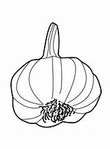 Garlic Coloring Pages Vegetables Fruits Drawing Kids Fun Sheet Votes Color Paintingvalley sketch template