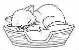 Coloring Kitten Pages Cat Kittens Cute Print Sleeping Printable Baby Christmas Color Kitty Puppy Dog Realistic Cats Drawing Colorings Puppies sketch template
