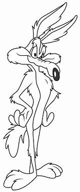 Runner Coloring Road Pages Coyote Cartoon Wolf Wile Looney Tunes Cartoons Character Sheets Boek Bladzijden Kleuren Kleurplaten Printable Disney Tekeningen sketch template