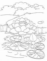 Ecosystem Coloring Pages Getdrawings Getcolorings sketch template