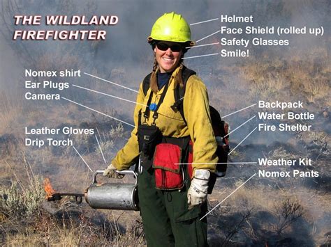 This Is You Madi Wildland Firefighter Firefighter Fire Protection