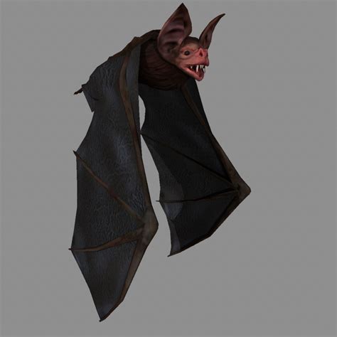 3d vampire bat fly animation