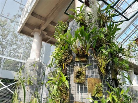 potret rumah kaca anggrek kebun raya bogor  diresmikan megawati