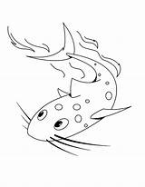 Catfish Coloring Pages Shark Look Color Beuatiful Eyes Drawing Place Getdrawings sketch template