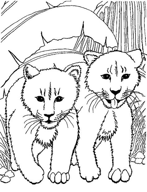 coloring page lion animal coloring pages