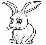Lapin Mignon Rabbit Trop Eyed Dessins Jecolorie Karikatur Karikaturillustration Netter sketch template