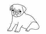 Pug Outline Drawing Draw Coloring Drawings Easy Pugs Puppy Puppies Sketch Dog Color Sketchite Pages Paintingvalley Choose Board Template sketch template