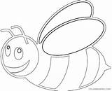 Coloring Bee Coloring4free Related Posts sketch template