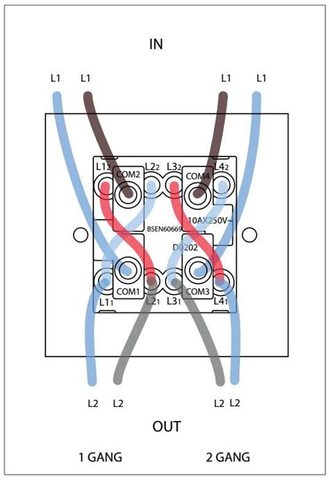 gang   switch wiring diagram