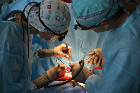 baby born    heart undergoes transplant surgery