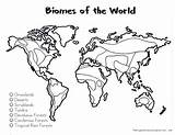 Biomes Maps Preview sketch template